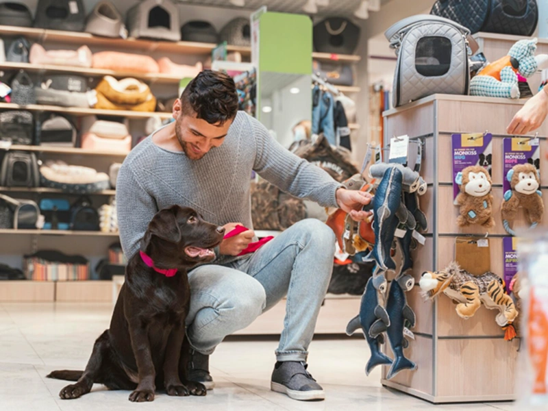 Pet Stores